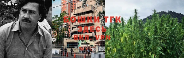 mdpv Козельск