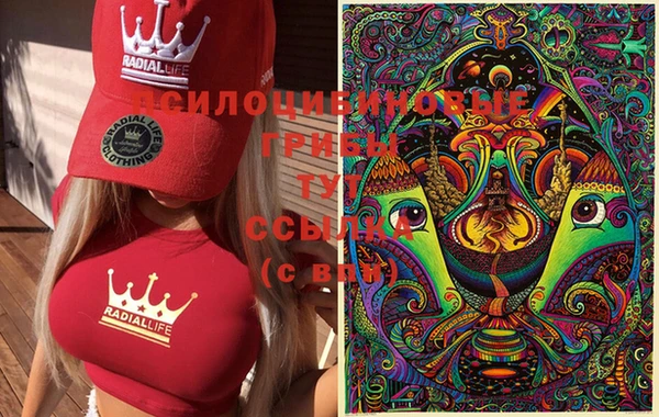 apvp Кодинск