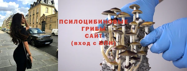 apvp Кодинск