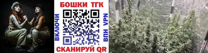Купить закладки  Приволжск  Шишки марихуана тримм 